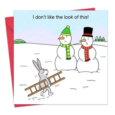 I Don't Like The Look of This Funny Xmas Card