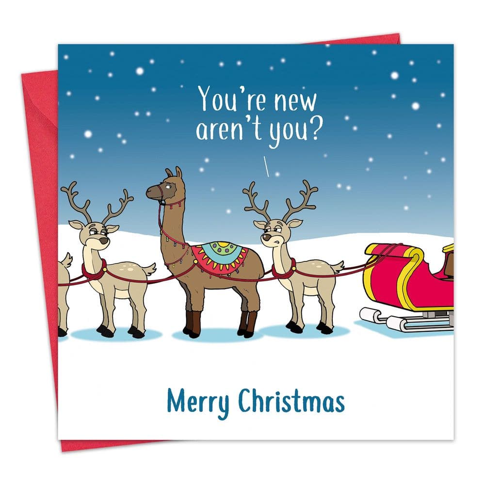 Twizler Lustige Weihnachtskarte – Rudolph Drag Race Design, 16x16 Cm, Humorvoll