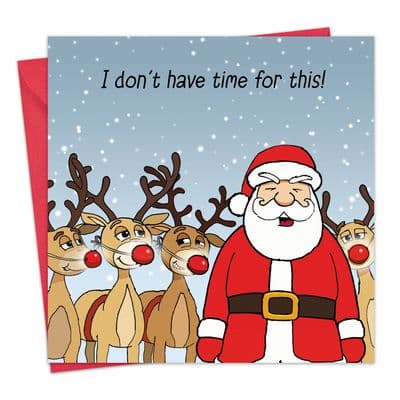 Merry Christmas Card I Don't Have Time For This!