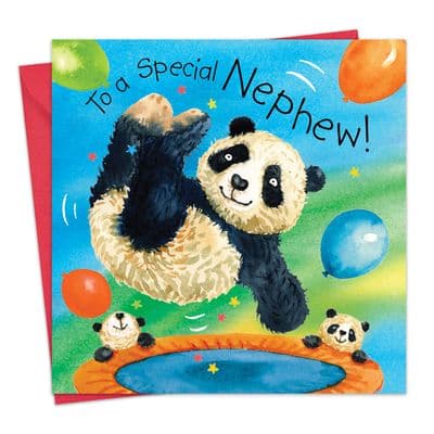 Nephew Birthday Card