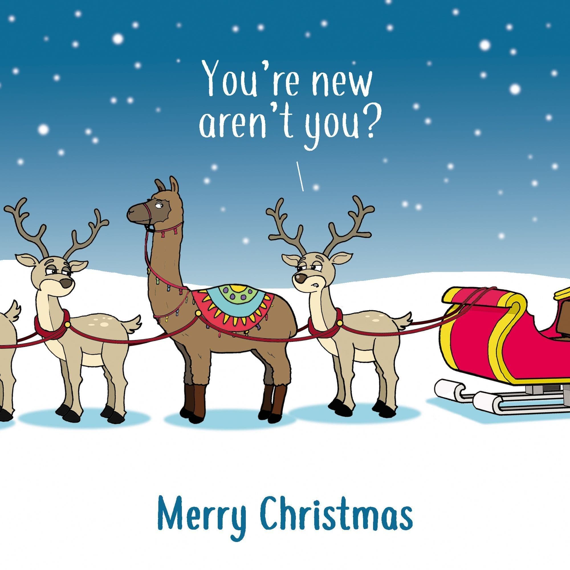 Pack Of 10 Funny Christmas Cards Pack Xmas Multipack Funny Cards pack-of-10-funny-christmas-cards-pack-xmas-multipack-funny-cards