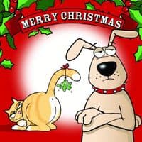 Pack of 3 Funny Christmas Cards Pack. Xmas Multipack. Funny Cards. Humour Cards. Humour Christmas Cards. Funny Xmas Cards. Humorous Christmas Cards. Twizler.