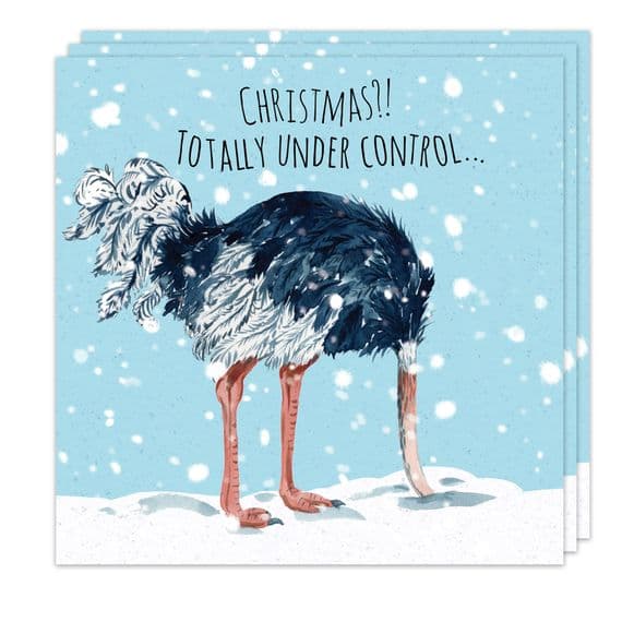 Pack of 3 Funny Christmas Cards Pack. Xmas Multipack. Funny Cards. Humour Cards. Humour Christmas Cards. Funny Xmas Cards. Humorous Christmas Cards. Twizler.