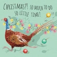 Pack of 3 Funny Christmas Cards Pack. Xmas Multipack. Funny Cards. Humour Cards. Humour Christmas Cards. Funny Xmas Cards. Humorous Christmas Cards. Twizler.