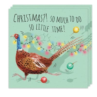 Pack of 3 Funny Christmas Cards - Pheasant Design