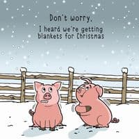 Pack of 3 Funny Christmas Cards Pack. Xmas Multipack. Funny Cards. Humour Cards. Humour Christmas Cards. Funny Xmas Cards. Humorous Christmas Cards. Twizler.