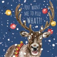 Pack of 3 Funny Christmas Cards Pack. Xmas Multipack. Funny Cards. Humour Cards. Humour Christmas Cards. Funny Xmas Cards. Humorous Christmas Cards. Twizler.