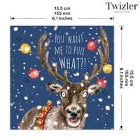 Pack of 3 Funny Christmas Cards Pack. Xmas Multipack. Funny Cards. Humour Cards. Humour Christmas Cards. Funny Xmas Cards. Humorous Christmas Cards. Twizler.