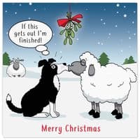 Pack of 3 Funny Christmas Cards Pack. Xmas Multipack. Funny Cards. Humour Cards. Humour Christmas Cards. Funny Xmas Cards. Humorous Christmas Cards. Twizler.