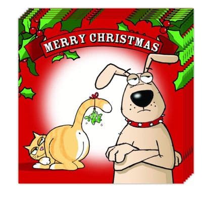 Pack of 6 Funny Christmas Cards - Mistletoe Cat Tail Design