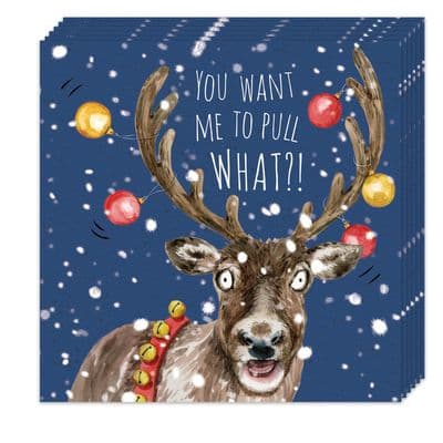 Pack of 8 Funny Christmas Cards - Reindeer Sleigh Design