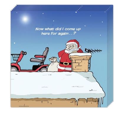 Pack of 8 Funny Christmas Cards - What Did I come Up Here For Father Christmas Design