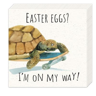 Pack of 8 Funny Easter Cards - Tortoise Design