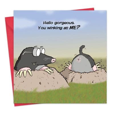 Rude Card Winking At Me