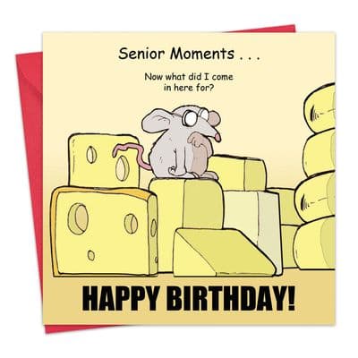 Senior Moments Funny Happy Birthday Card