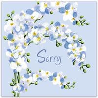 Occasion Cards. Sorry Cards. Apology Cards. Sympathy Cards. Thinking of You Cards. Thank You Teacher Cards. You Passed Cards. Get Well Soon Cards. Twizler.
