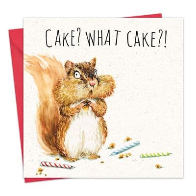 What Cake Funny Birthday Card