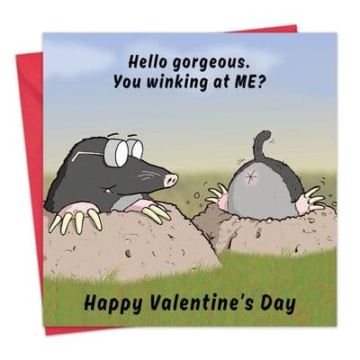 Winking At Me Funny Valentines Day Card