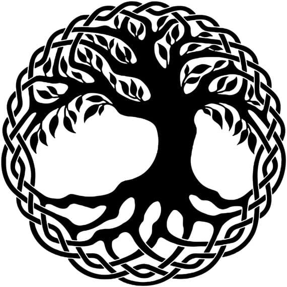 (No.773) CAMPER VAN GRAPHICS MOTORHOME STICKERS GRAPHICS DECALS CARAVAN DECALS