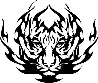 (No.778) CAMPER VAN GRAPHICS MOTORHOME STICKERS GRAPHICS DECALS CARAVAN DECALS