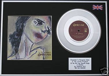 DAMIEN RICE & LISA HANNIGAN - Platinum Disc - 9 CRIMES