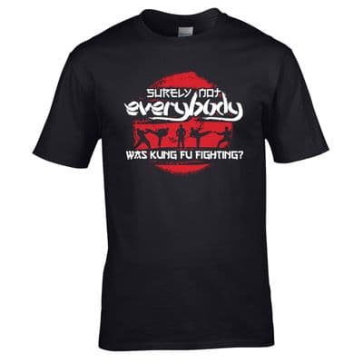 Surely Not Everybody Was Kung Fu Fighting? T-Shirt - Parody Mens Joke Gift Top