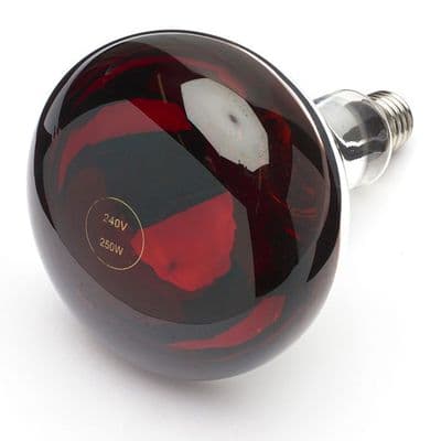 Buffalo 250W infrared Heat Lamp ES Ruby Red