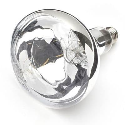 Buffalo 250W Shatterproof Infrared Heat Lamp ES