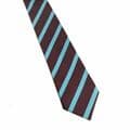 Ecclesbourne Tie