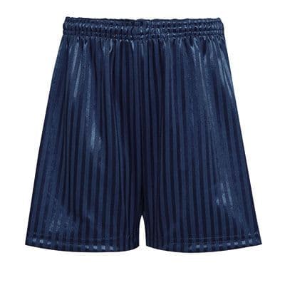 Navy PE Shorts