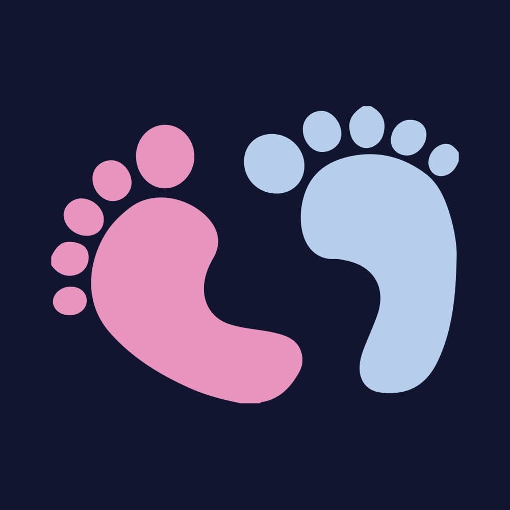 Footsteps Logo Micro Fleece Gilet