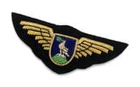 Badge Gold Wings