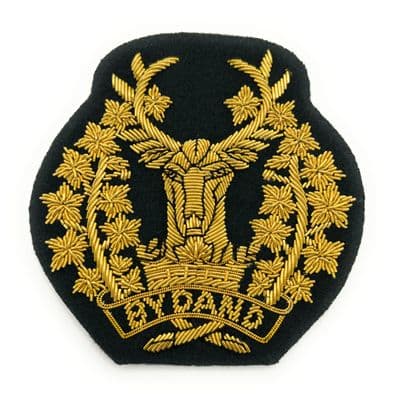 Badge  Gordon Highlanders badge Gold on Dark Green R2863