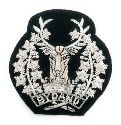 Badge  Gordon Highlanders badge Silver On Dark Green R2873