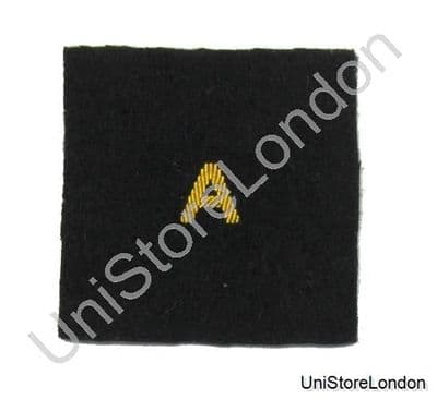 Gold Wire Embroidered A R679