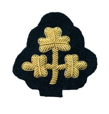 Irish Shamrock  Deputy Lieutenant Cap Badge