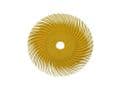 3M Scotch-Brite 75mm Radial Bristle Disc P80