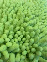 Car MicroFibre  Wash Mitt - Green/ Orange