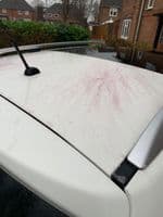 Iron out decontaminator fallout remover