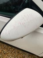 Iron out decontaminator fallout remover