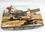 Curtiss P-40N Warhawk 'EduArt'