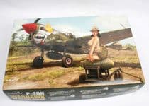 Curtiss P-40N Warhawk 'EduArt'