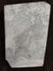 'LANDSCAPE' / COTHAM MARBLE - TRIASSIC, BRISTOL.