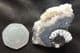 'MAGPIE' AMMONITE - JURASSIC, SOMERSET.
