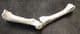 2 BIRD LEG BONES - PLEISTOCENE, FRANCE.