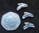 3 PRISTINE TIGER SHARK TEETH - MIOCENE, NORTH CAROLINA.