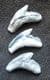 3 PRISTINE TIGER SHARK TEETH - MIOCENE, NORTH CAROLINA.