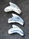3 PRISTINE TIGER SHARK TEETH - MIOCENE, NORTH CAROLINA.