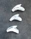 3 PRISTINE TIGER SHARK TEETH - MIOCENE, NORTH CAROLINA.