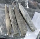 4 BELEMNITE GUARDS FROM BLOCKLEY BRICKWORKS.